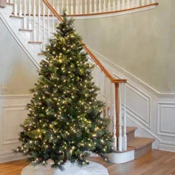 Christmas Central 7.5 Ft. Carolina Pine Tree With Clear Lights -Christmas Central Sales Store dnat20cap3 306 75 2 19057.1686144238