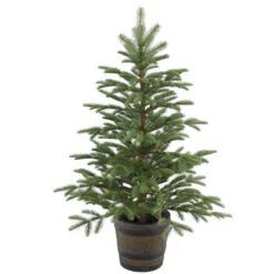 Christmas Central 4' Potted Norwegian Spruce Entrance Artificial Christmas Tree, Unlit