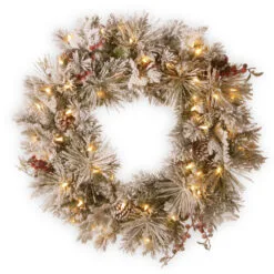 Christmas Central Pre-Lit Snowy Bedford Pine Artificial Christmas Wreath, 30-Inch, LED Lights