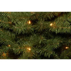 Christmas Central 6’ Pre-Lit Canadian Grande Fir Artificial Christmas Tree – Clear Lights -Christmas Central Sales Store dnat cfg7 300 60 3 01660.1663947187
