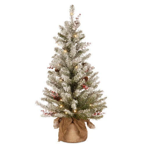 Christmas Central 3' Pre-Lit Dunhill Fir Artificial Christmas Tree - Warm White LED Lights 1 Christmas Central 3' Pre-Lit Dunhill Fir Artificial Christmas Tree - Warm White LED Lights