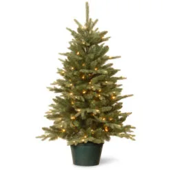 Christmas Central 3' Pre-lit Potted Evergreen Artificial Christmas Tree, Clear Lights
