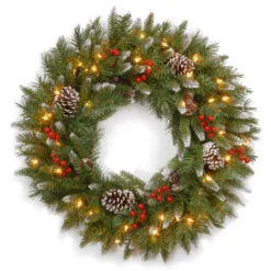 Christmas Central Pre-Lit Frosted Berry Artificial Christmas Wreath, 24-Inch, Clear Lights