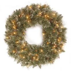 Christmas Central Pre-Lit Frosted Bristle Pine Artificial Christmas Wreath, 24-Inch, White Lights