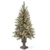 Christmas Central 4' Pre-lit Potted Glittery Bristle Christmas Tree, Clear Lights