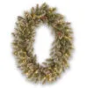 Christmas Central Pre-Lit Glittery Bristle Pine Artificial Christmas Wreath, 30-Inch, LED Lights