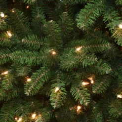Christmas Central 7’ Pre-lit Kingswood Fir Pencil Artificial Christmas Tree, Clear Lights -Christmas Central Sales Store dnat kw7 300 70 3 47562.1664900745