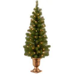 Christmas Central 4β Pre-Lit Potted Montclair Spruce Artificial Christmas Tree, Clear Lights