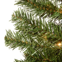 Christmas Central 4’ Pre-Lit Potted Montclair Spruce Artificial Christmas Tree, Clear Lights 6 Christmas Central 4’ Pre-Lit Potted Montclair Spruce Artificial Christmas Tree, Clear Lights -Christmas Central Sales Store dnat mc7 308 40 3 35686.1631811178