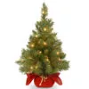 Christmas Central 2’ Pre-lit Potted Majestic Fir Tree Artificial Christmas Tree, White Lights