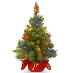 Christmas Central 2' Pre-Lit Potted Majestic Fir Full Artificial Christmas Tree, Multicolor LED Lights