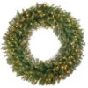Christmas Central Pre-Lit Norwood Fir Artificial Christmas Wreath, 48-Inch, Clear Lights