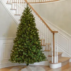 Christmas Central 7’ Pre-lit North Valley Spruce Artificial Christmas Tree, Clear Lights 7 Christmas Central 7’ Pre-lit North Valley Spruce Artificial Christmas Tree, Clear Lights -Christmas Central Sales Store dnat nrv7 300 70 4 44740.1631810854