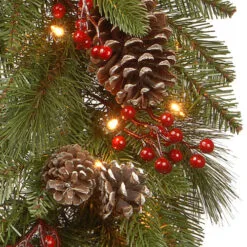 Christmas Central Pre-Lit Bristle Berry Artificial Christmas Wreath, 30-Inch, Warm White LED Lights -Christmas Central Sales Store dnat pebb3 300 24wb1 3 36319.1663860519