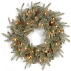 Christmas Central Pre-Lit Frosted Arctic Spruce Artificial Christmas Wreath, 24-Inch, Clear Lights