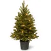 Christmas Central 3' Pre-lit Potted Jersey Fraser Fir Artificial Christmas Tree, White LED Lights