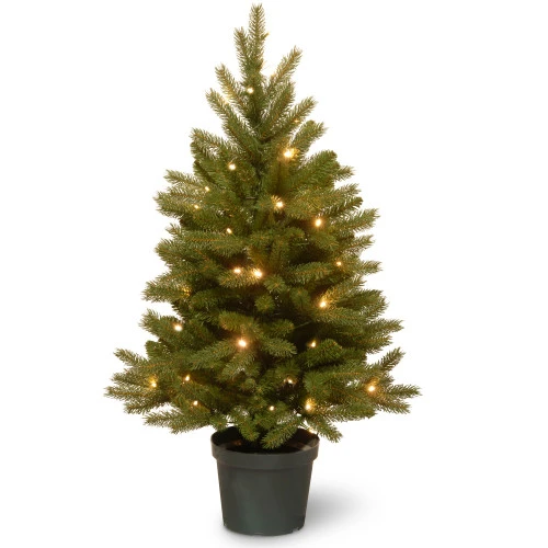 Christmas Central 3' Pre-lit Potted Jersey Fraser Fir Artificial Christmas Tree, White LED Lights 1 Christmas Central 3' Pre-lit Potted Jersey Fraser Fir Artificial Christmas Tree, White LED Lights
