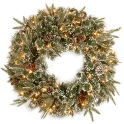 Christmas Central Pre-Lit Liberty Pine Artificial Christmas Wreath, 24-Inch, Clear Lights
