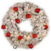 Christmas Central Pre-Lit Snowy Bristle Pine Wreath, 30-Inch, Warm White LED Lights